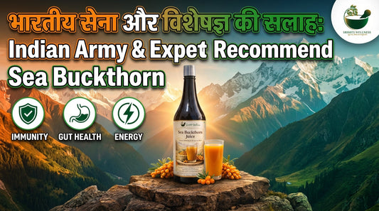 Sea Buckthorn Juice – Benefits, Research, Army Use & Complete Health Guide